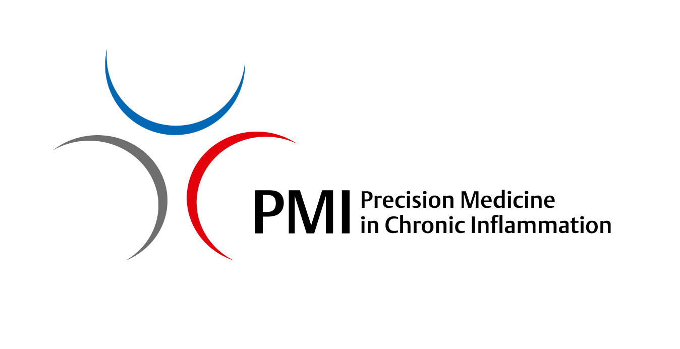 PMI Logo